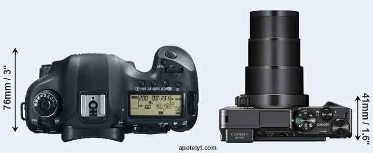 Compare 5D Mark III versus A1000 top