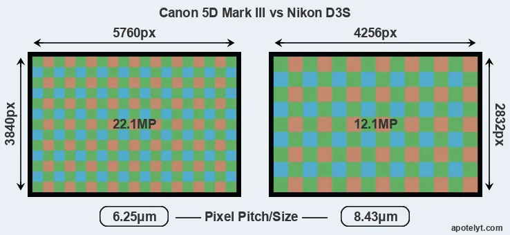5D Mark III versus D3S MP