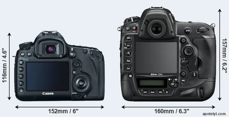 Comparison 5D Mark III or D4S rear
