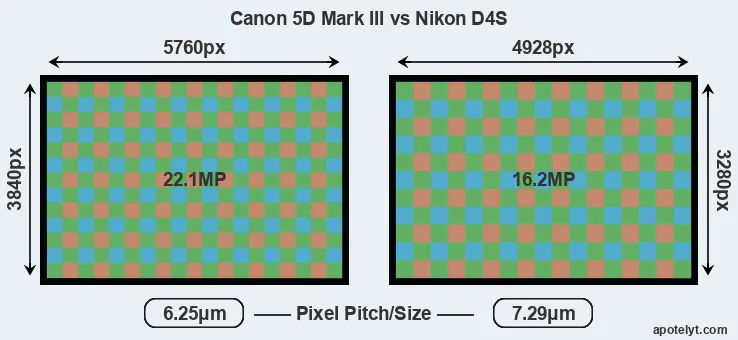 5D Mark III versus D4S MP