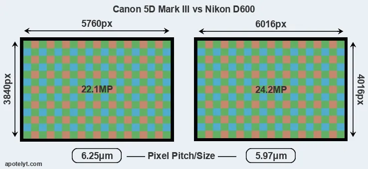 5D Mark III versus D600 MP