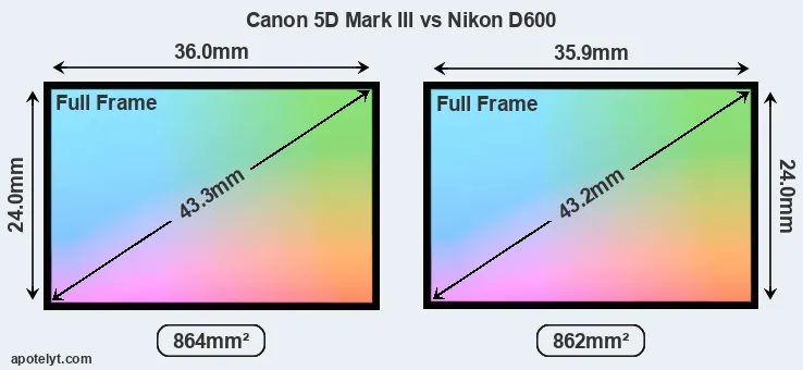 Canon 5D Mark III and Nikon D600 sensor measures