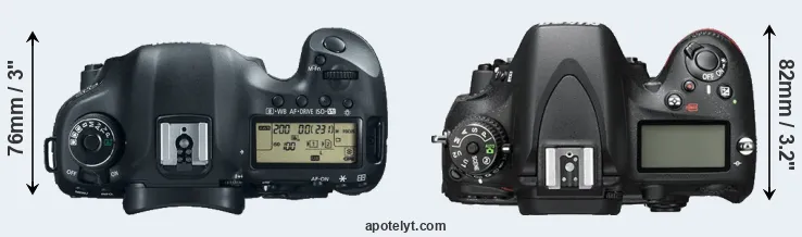 Compare 5D Mark III versus D600 top