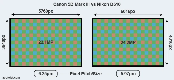 5D Mark III versus D610 MP