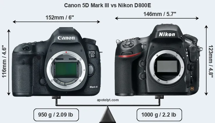 Size Canon 5D Mark III vs Nikon D800E