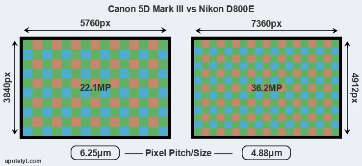 5D Mark III versus D800E MP