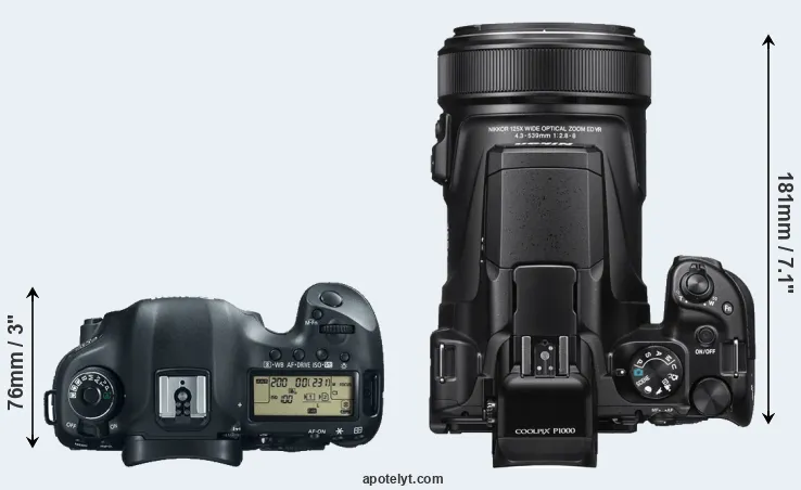 Compare 5D Mark III versus P1000 top