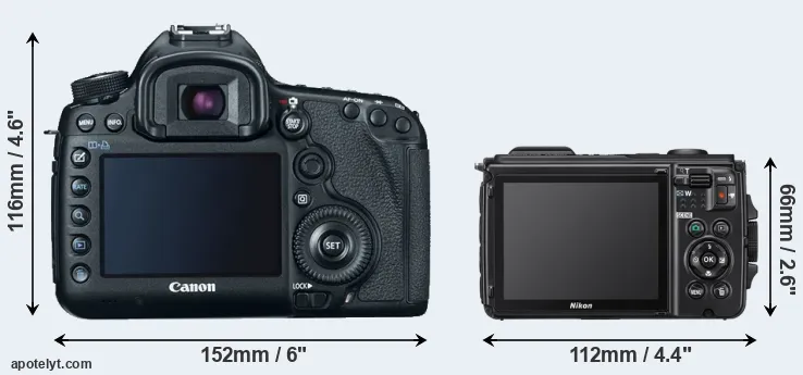 Comparison 5D Mark III or W300 rear