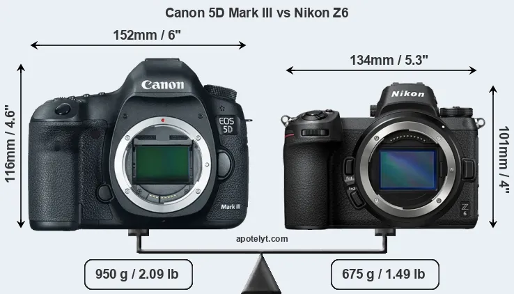 Size Canon 5D Mark III vs Nikon Z6