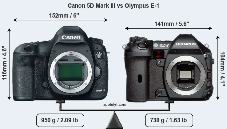 Size Canon 5D Mark III vs Olympus E-1