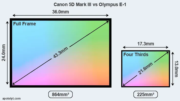 Canon 5D Mark III and Olympus E-1 sensor measures