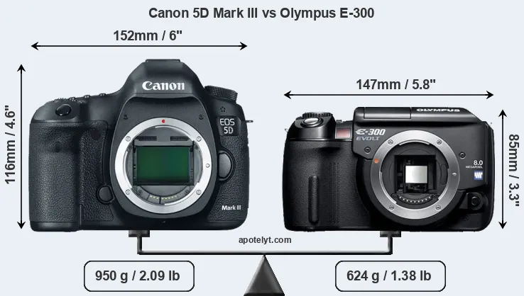 Size Canon 5D Mark III vs Olympus E-300