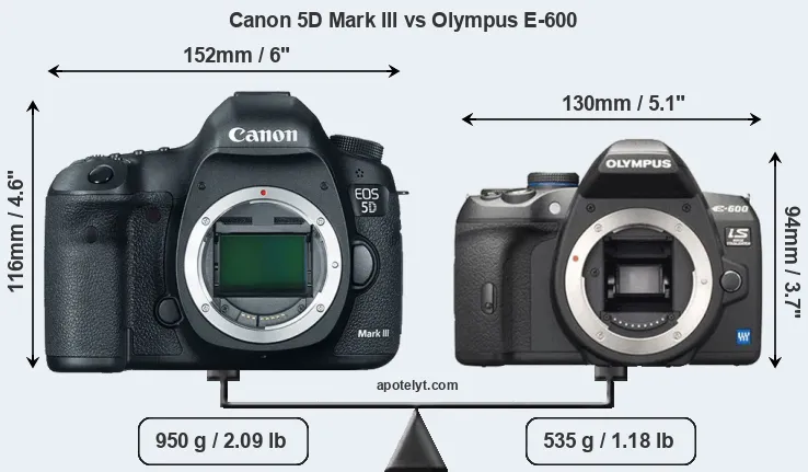 Size Canon 5D Mark III vs Olympus E-600