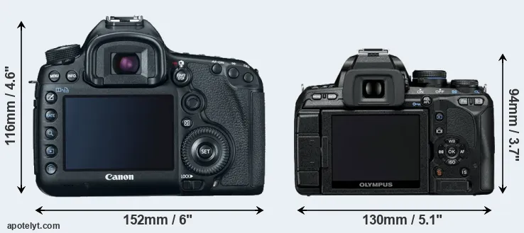 Comparison 5D Mark III or E-600 rear