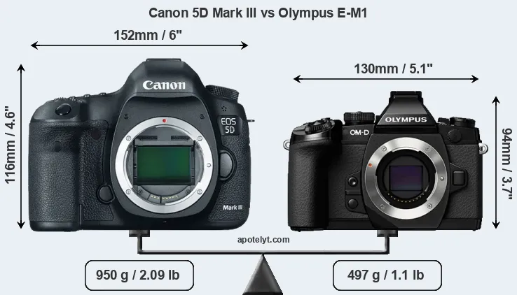 Size Canon 5D Mark III vs Olympus E-M1