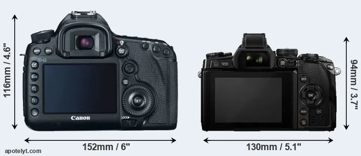 Comparison 5D Mark III or E-M1 rear