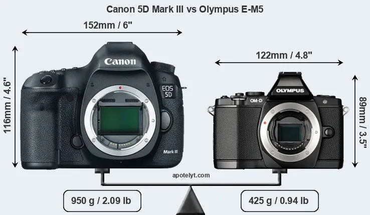 Size Canon 5D Mark III vs Olympus E-M5