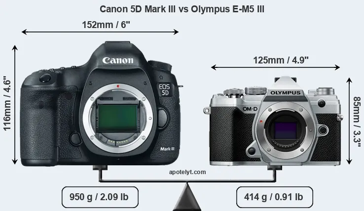 Size Canon 5D Mark III vs Olympus E-M5 III