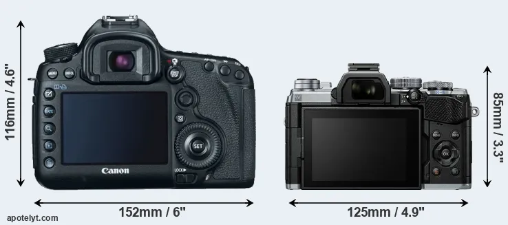 Comparison 5D Mark III or E-M5 III rear