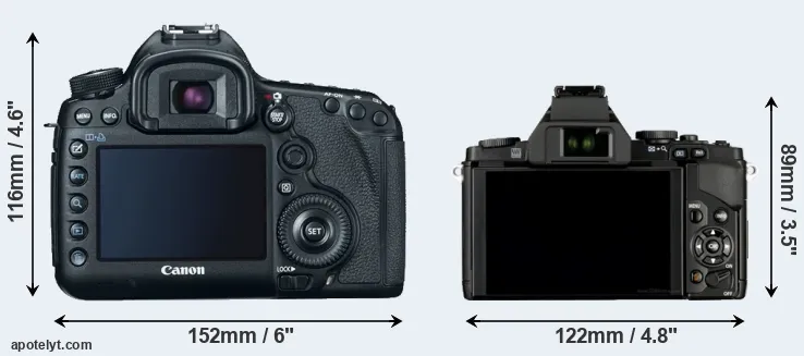 Comparison 5D Mark III or E-M5 rear