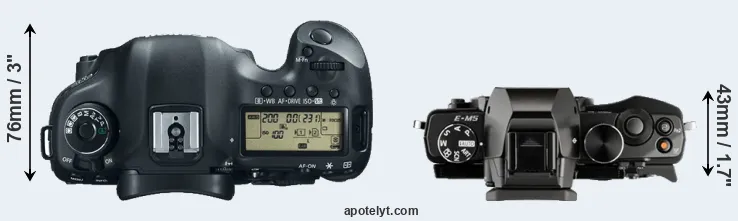 Compare 5D Mark III versus E-M5 top