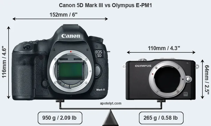 Size Canon 5D Mark III vs Olympus E-PM1