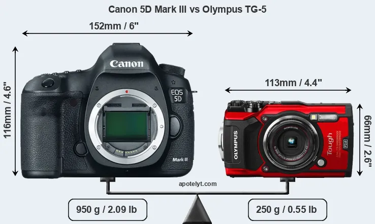Size Canon 5D Mark III vs Olympus TG-5