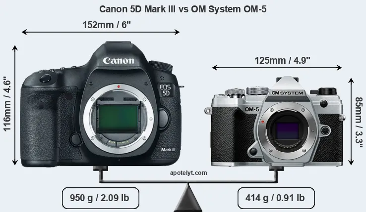 Size Canon 5D Mark III vs OM System OM-5