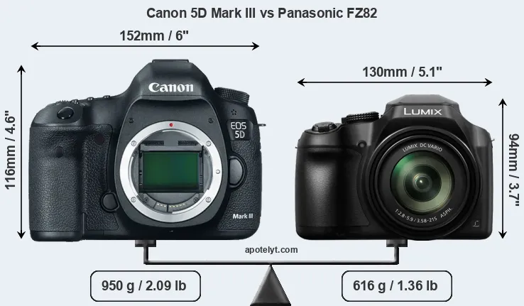 Size Canon 5D Mark III vs Panasonic FZ82