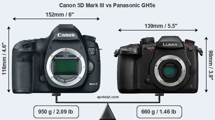 Size Canon 5D Mark III vs Panasonic GH5s