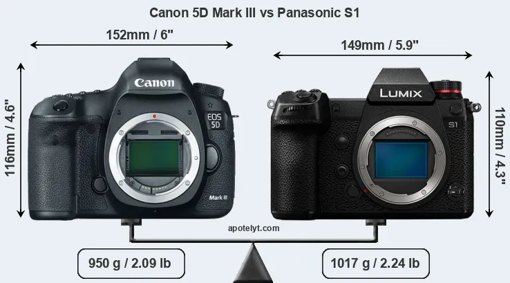 Size Canon 5D Mark III vs Panasonic S1