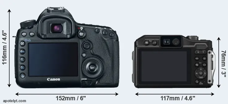 Comparison 5D Mark III or TS7 rear