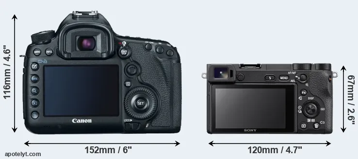 Comparison 5D Mark III or A6500 rear