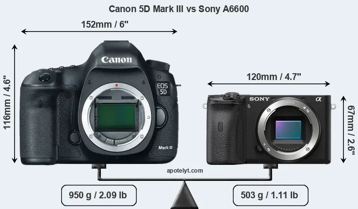Size Canon 5D Mark III vs Sony A6600