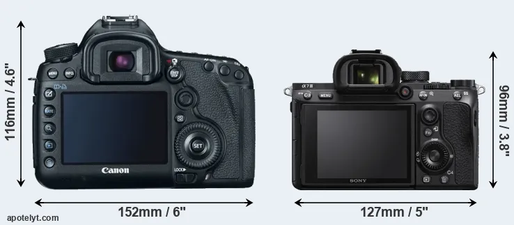 Comparison 5D Mark III or A7 III rear