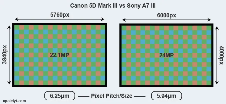 5D Mark III versus A7 III MP