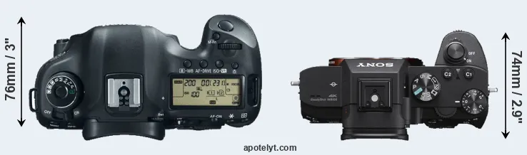 Compare 5D Mark III versus A7 III top