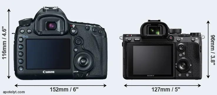Comparison 5D Mark III or A7R III rear