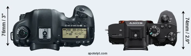 Compare 5D Mark III versus A7R III top