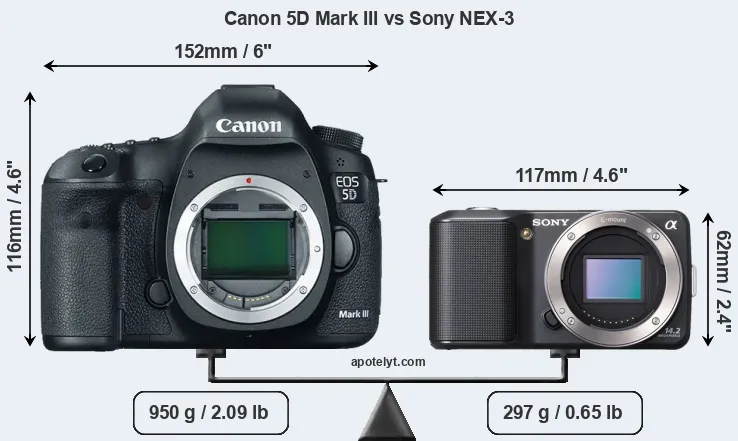 Size Canon 5D Mark III vs Sony NEX-3