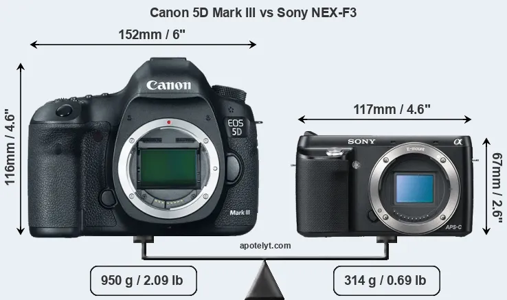 Size Canon 5D Mark III vs Sony NEX-F3