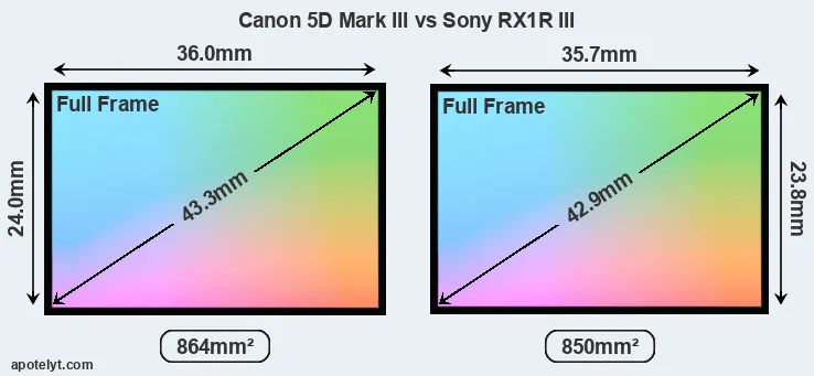 Canon 5D Mark III and Sony RX1R III sensor measures
