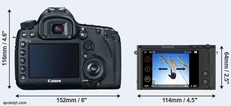 Comparison 5D Mark III or M1 rear