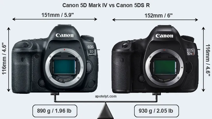 Size Canon 5D Mark IV vs Canon 5DS R