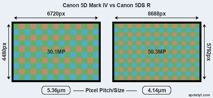 5D Mark IV versus 5DS R MP