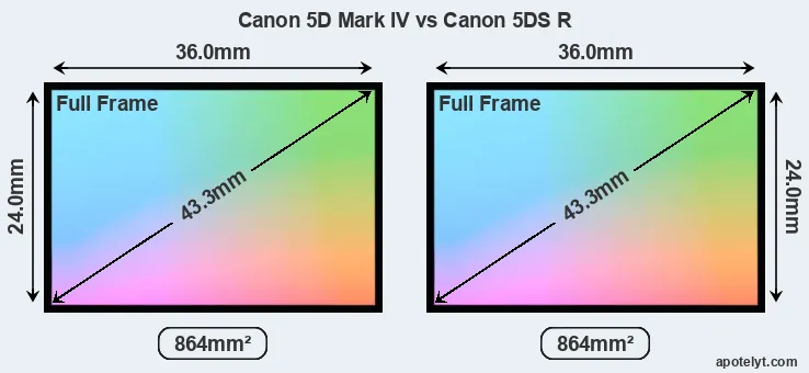 Canon 5D Mark IV and Canon 5DS R sensor measures