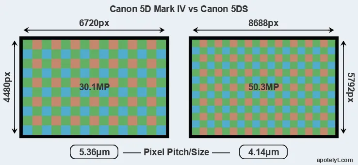5D Mark IV versus 5DS MP
