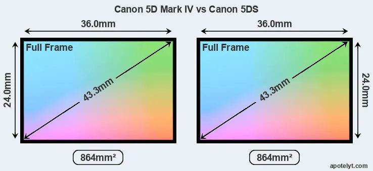 Canon 5D Mark IV and Canon 5DS sensor measures