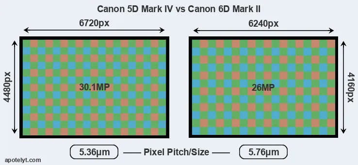 5D Mark IV versus 6D Mark II MP