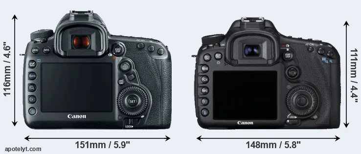 Comparison 5D Mark IV or 7D rear
